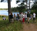 midsommar 08 6.jpg