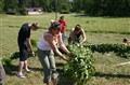 midsommar prep 1.jpg